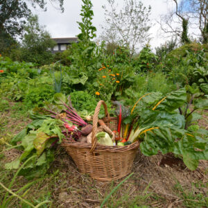 Livres et podcasts sur le jardinage en breton - Levrioù ha podkastoù diwar-benn al liorzhañ e brezhoneg