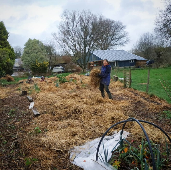 Démarrer son potager sans travail du sol