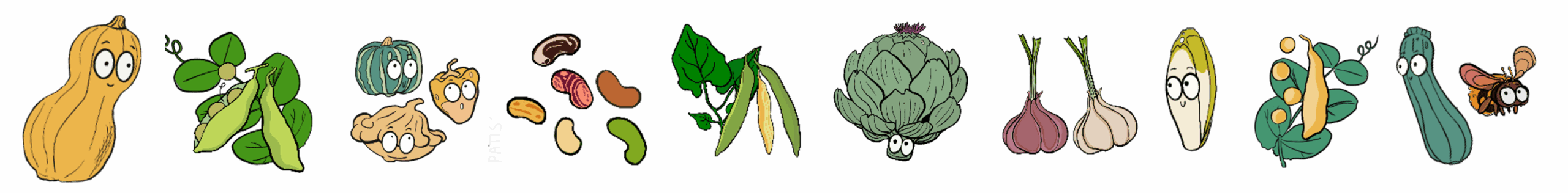 banniere legumes