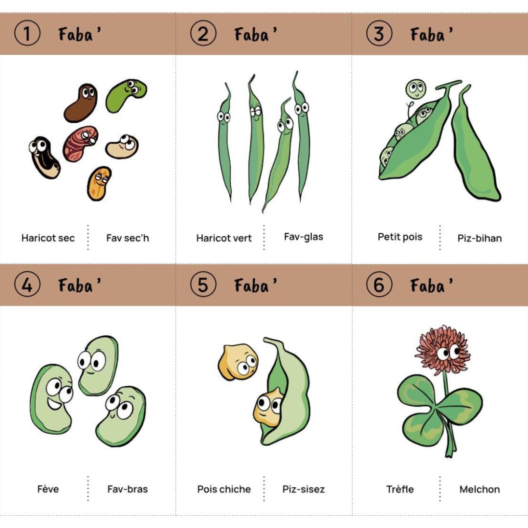 Jeu des 8 familles du potager : téléchargement libre – Image 4
