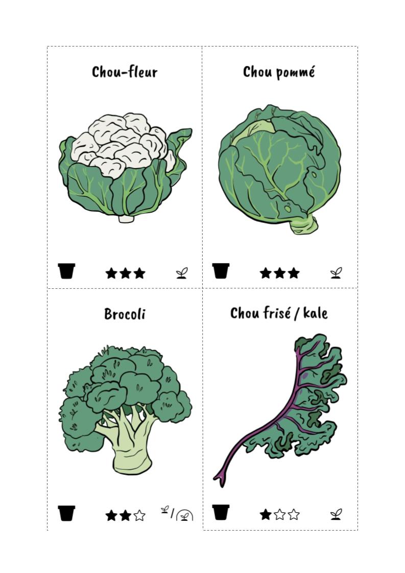 Kit cartes légumes – Image 3