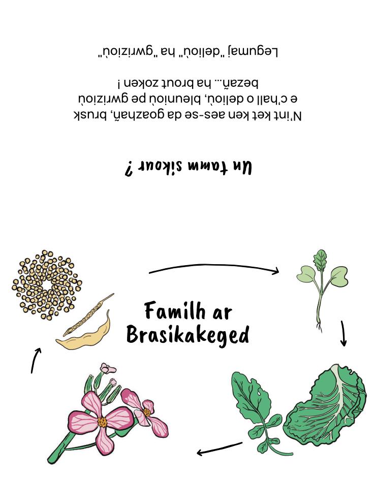 Kit kartoù legumaj : pellgargañ a-youl-gaer – Image 5