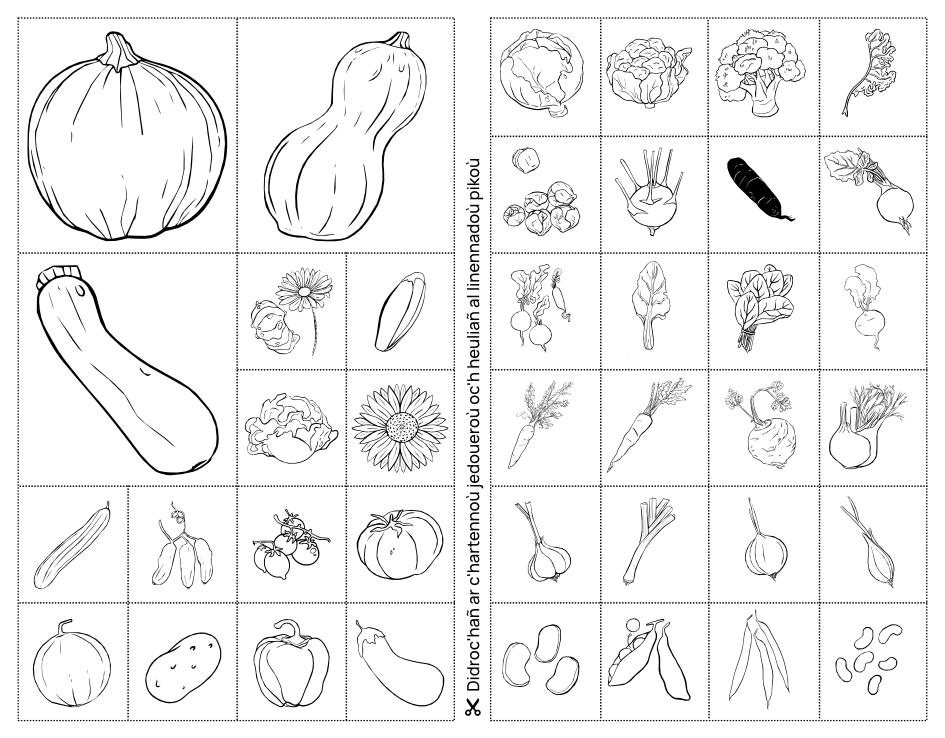 Kit kartoù legumaj : pellgargañ a-youl-gaer – Image 7