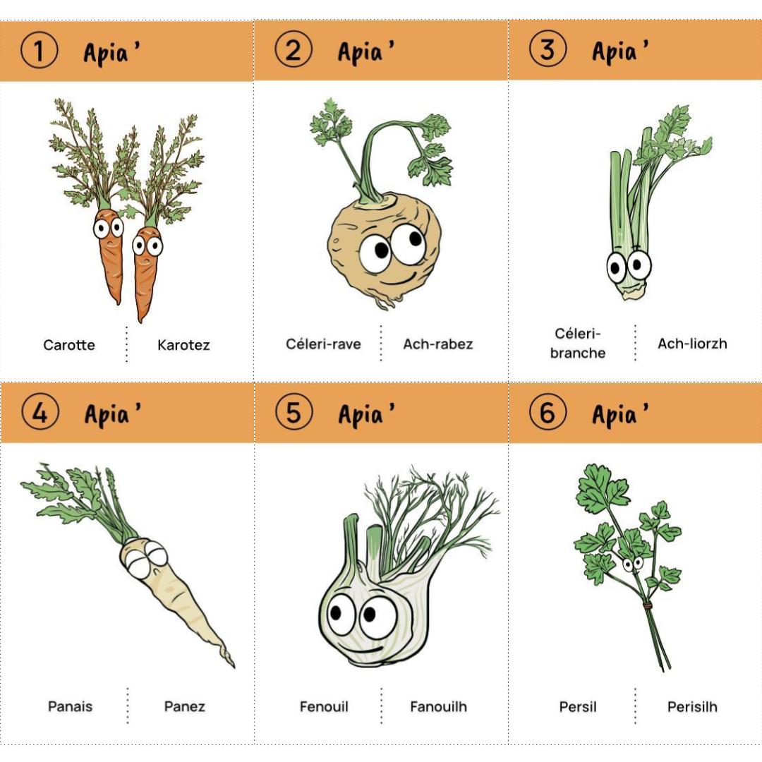 Jeu des 8 familles du potager : téléchargement libre – Image 10