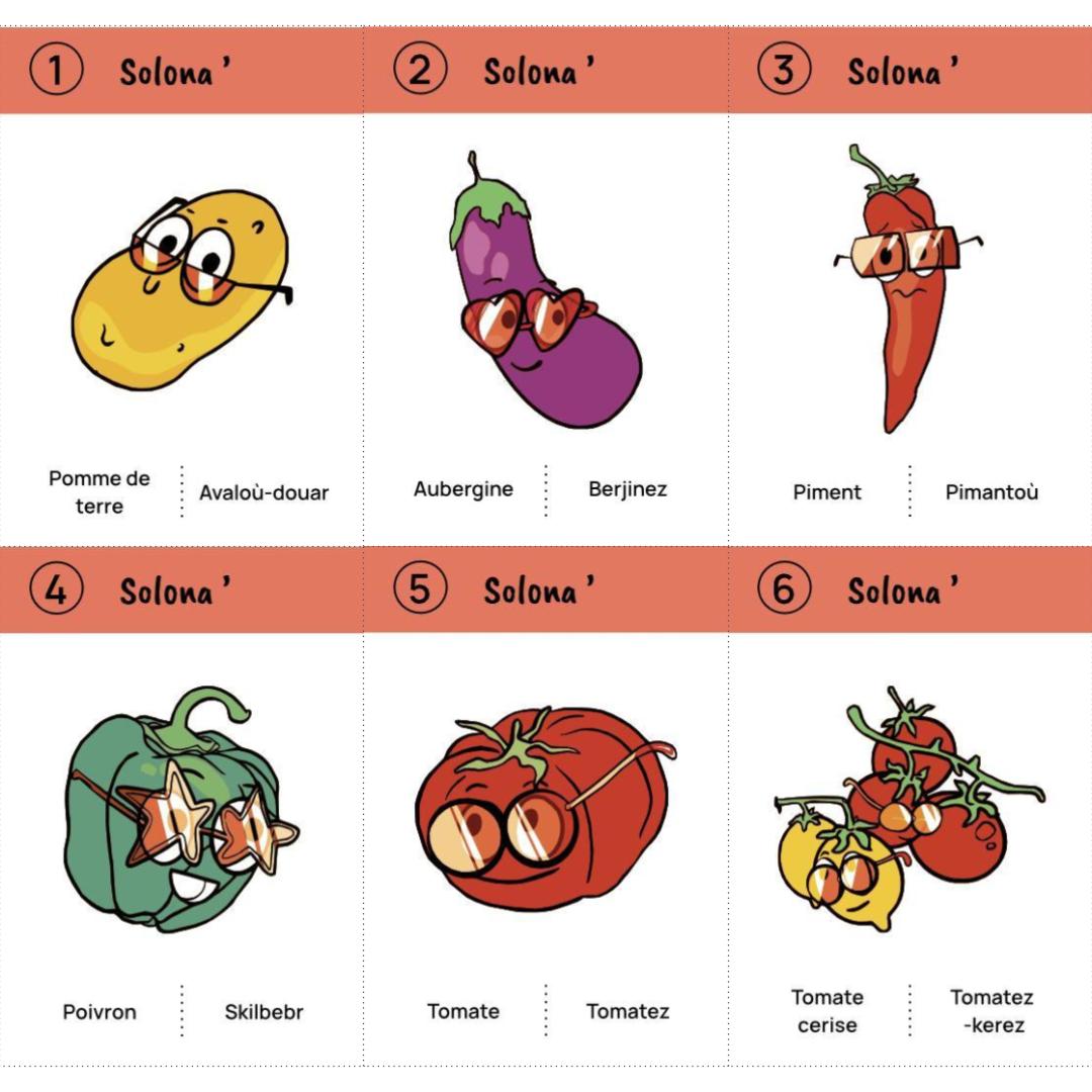 Jeu des 8 familles du potager : téléchargement libre – Image 5