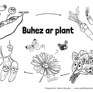 Coloriages en breton