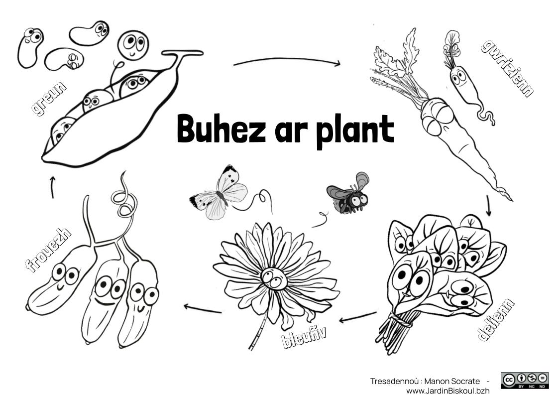 Coloriages en breton