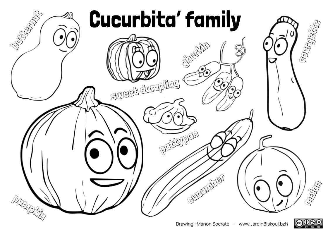 Coloriages en anglais – Image 2