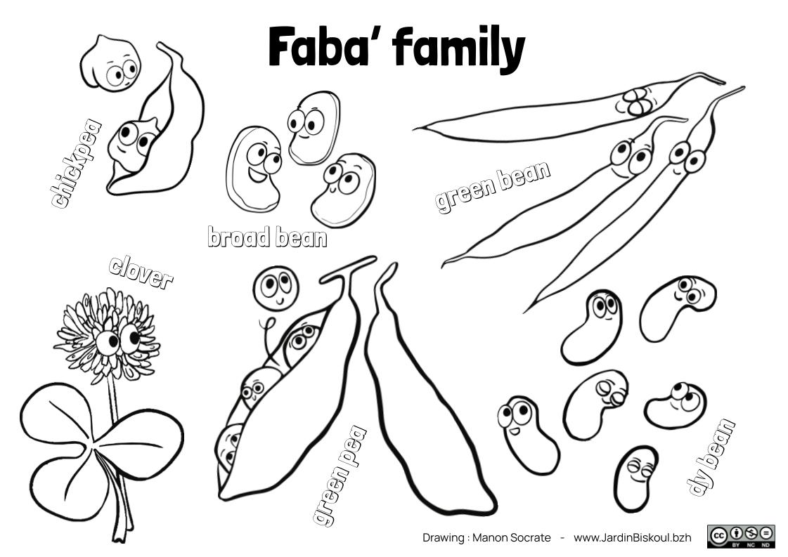 Coloriages en anglais – Image 3