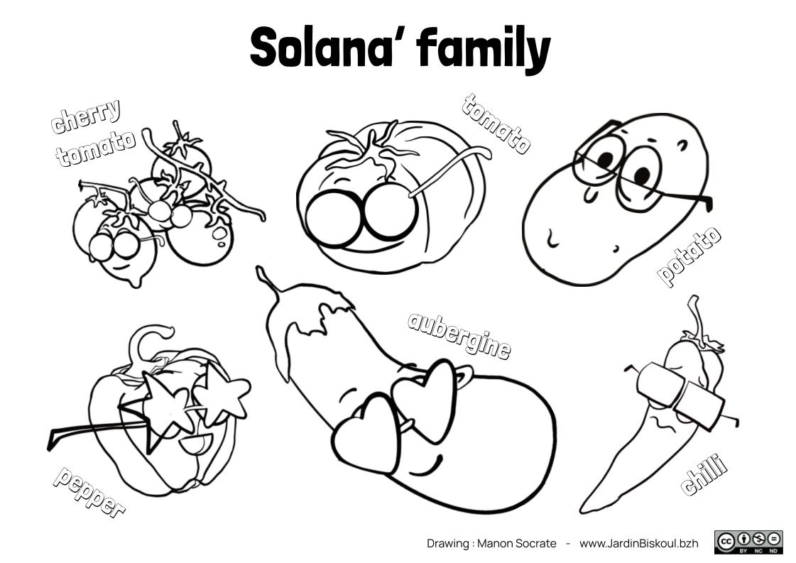 Coloriages en anglais – Image 4