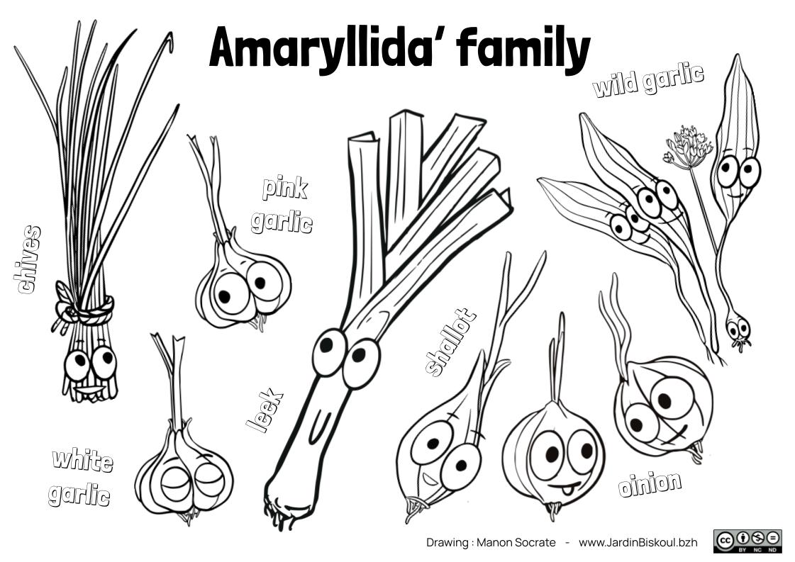 Coloriages en anglais – Image 6