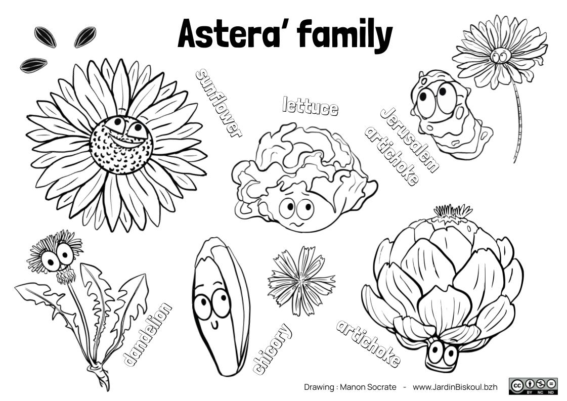 Coloriages en anglais – Image 8