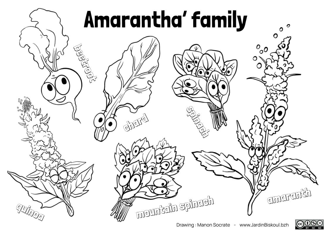 Coloriages en anglais – Image 9