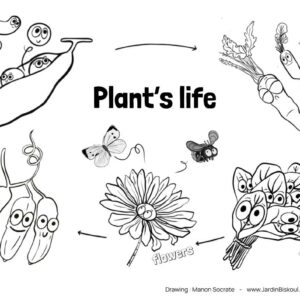Coloriages en anglais