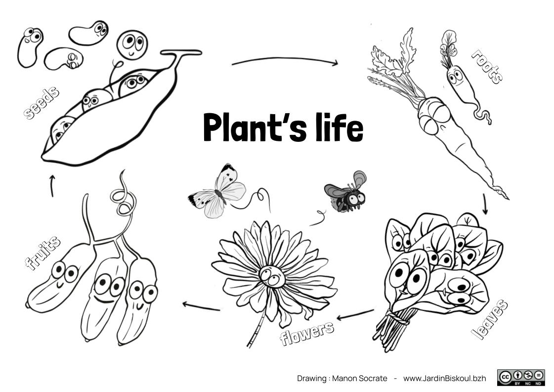 Coloriages en anglais