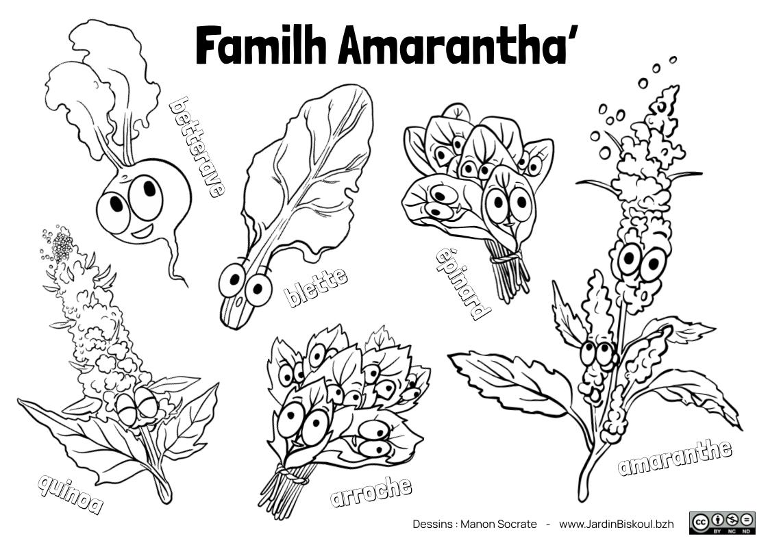 Coloriages en français – Image 9