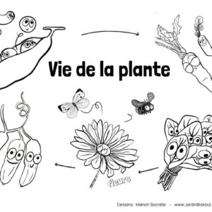 Coloriages en français