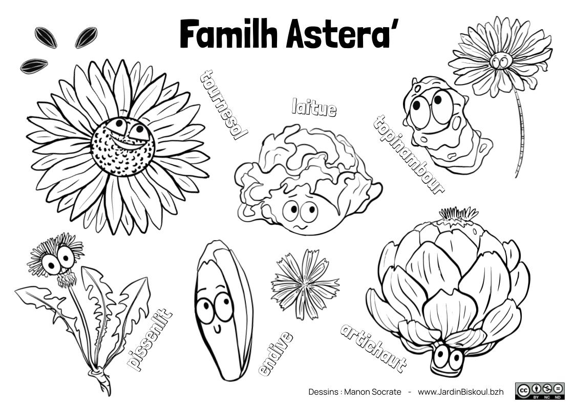 Coloriages en français – Image 8