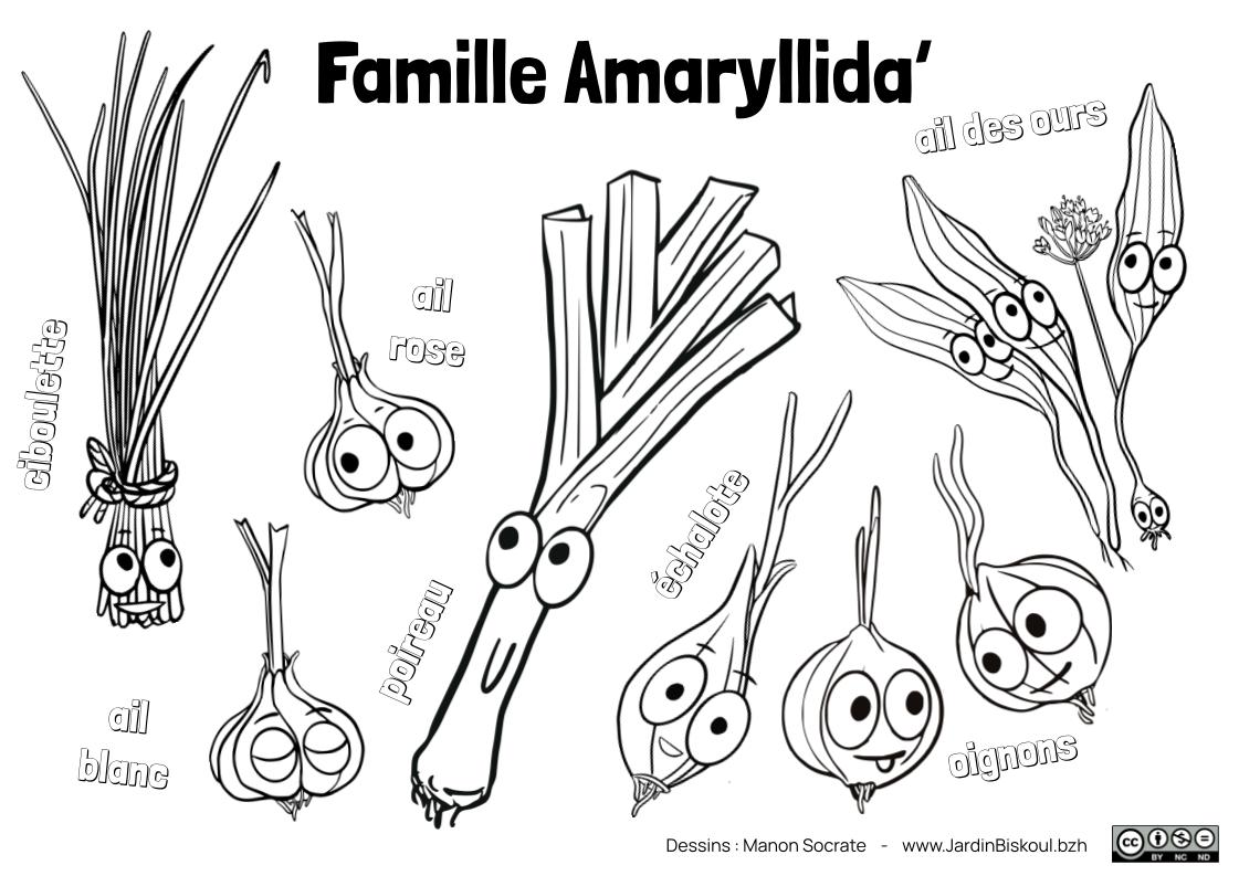 Coloriages en français – Image 6