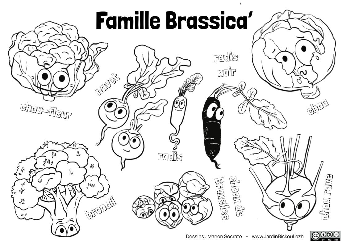 Coloriages en français – Image 5