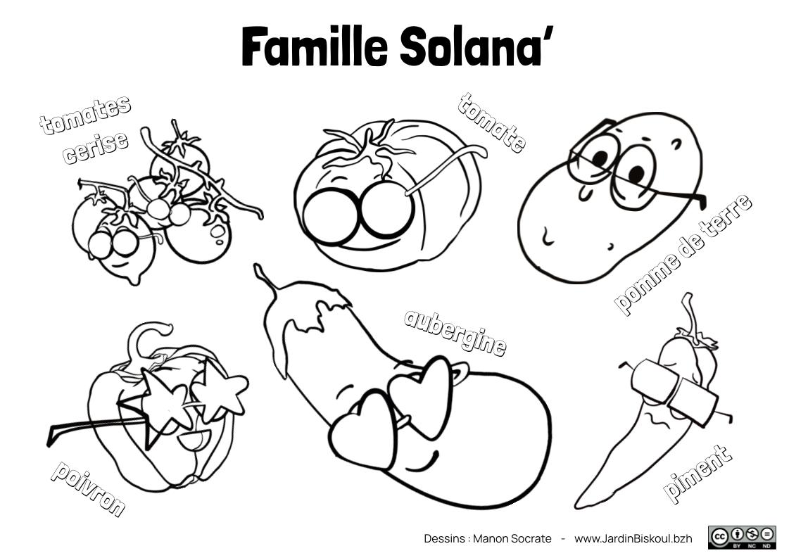 Coloriages en français – Image 4