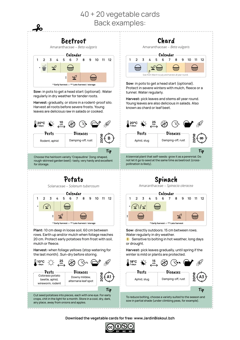 examples of 4 cards
