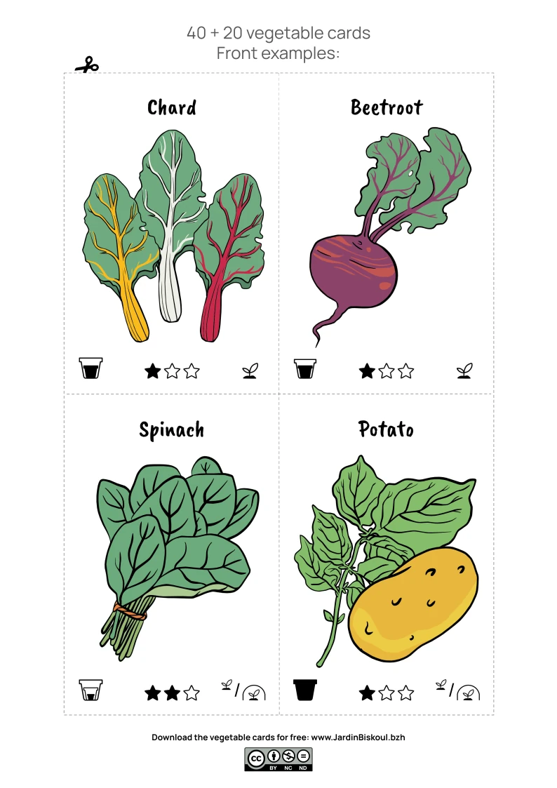 examples of 4 cards