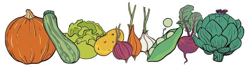 legumes-banniere-potager-permaculture