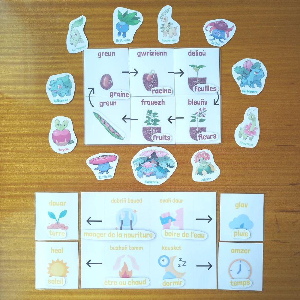 Activités jardinage enfants en breton - Obererezhioù liorzhañ bugale e brezhoneg – Image 5