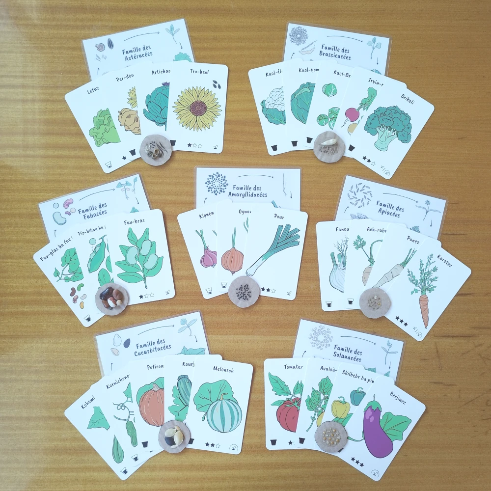 Activités jardinage enfants en breton - Obererezhioù liorzhañ bugale e brezhoneg – Image 4