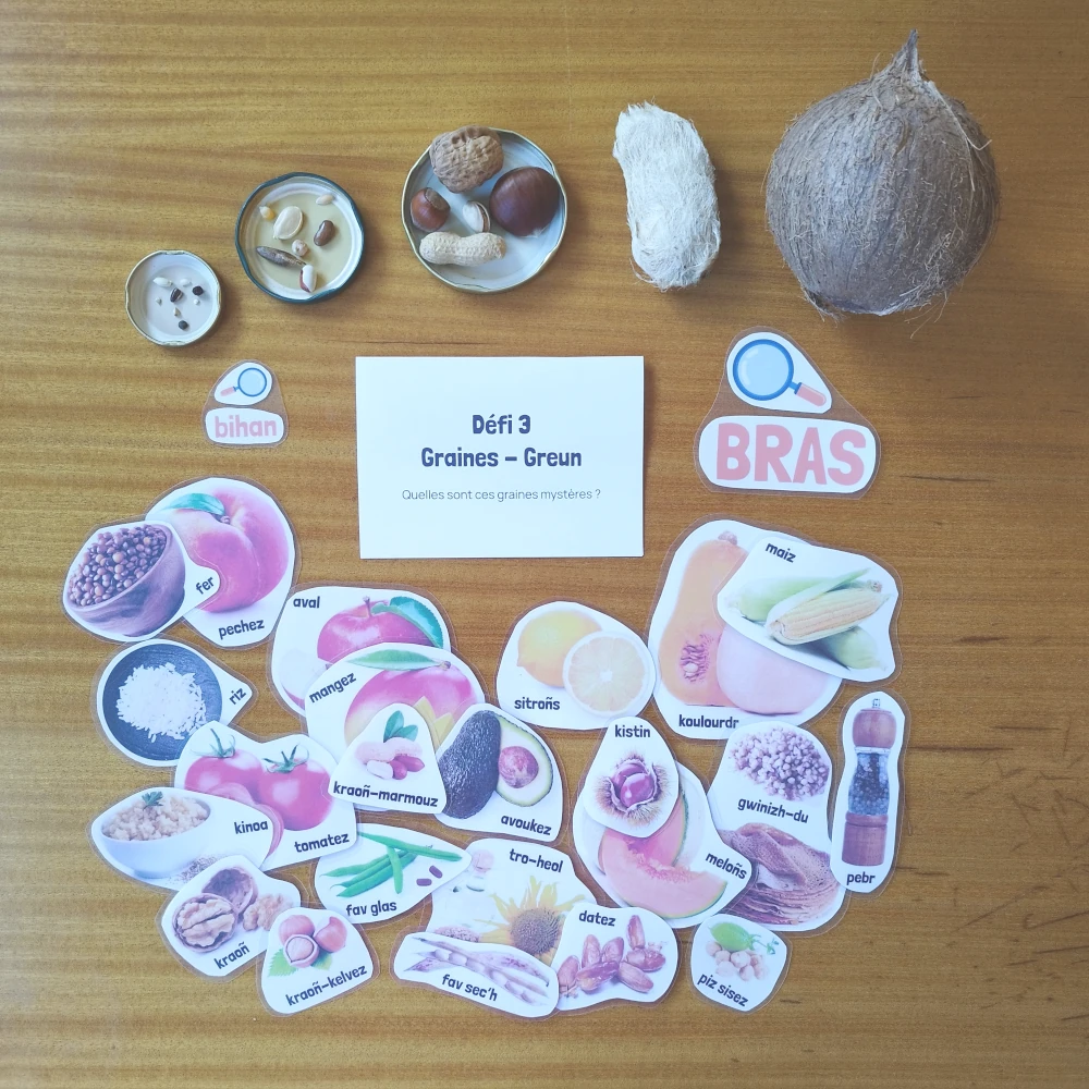 Activités jardinage enfants en breton - Obererezhioù liorzhañ bugale e brezhoneg – Image 3