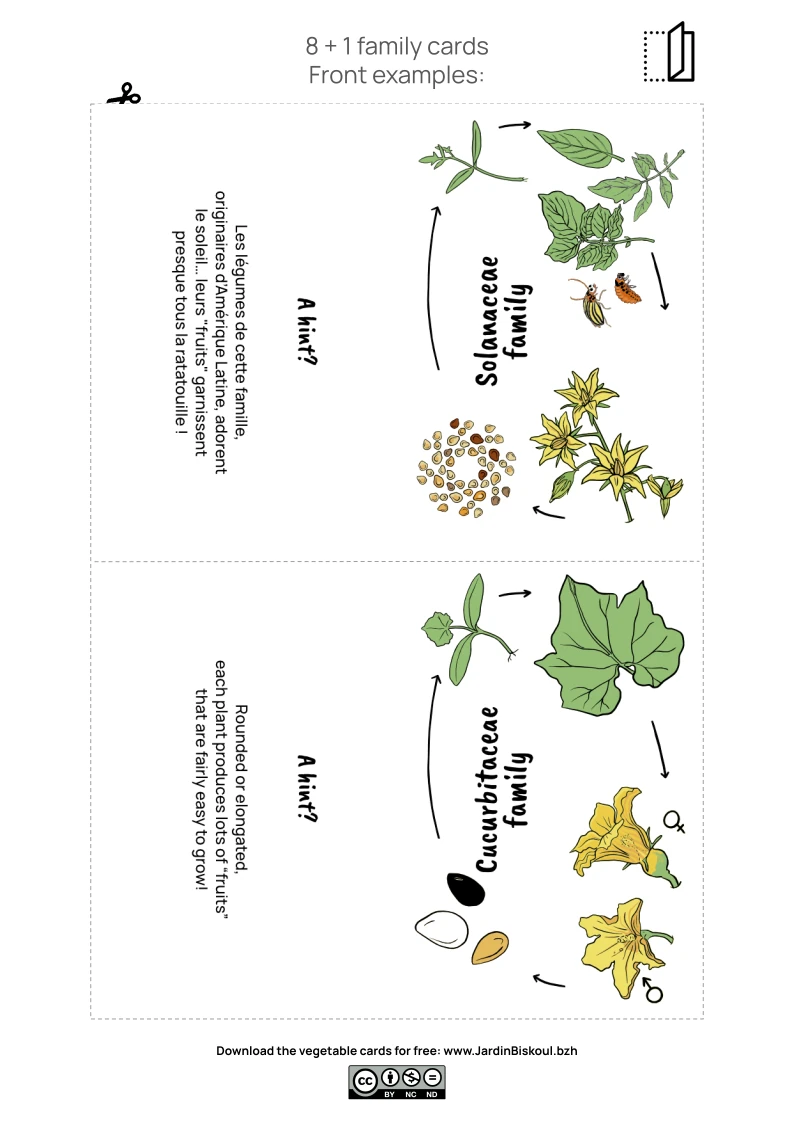 Kit "Plan your vegetable garden" - Free download – Image 5