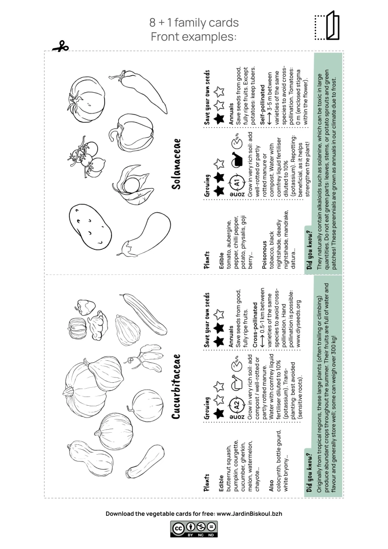 Botanical family : vegetable cards to play